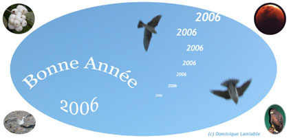 Bonne année 2006