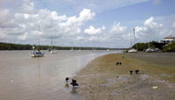 Le fleuve Kourou