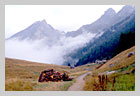 bois et montagne dans l'Orgère