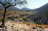 Grèce, près de Mycenes