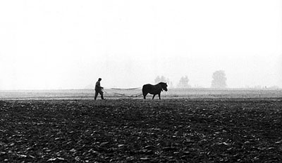 Labours en Mazurie